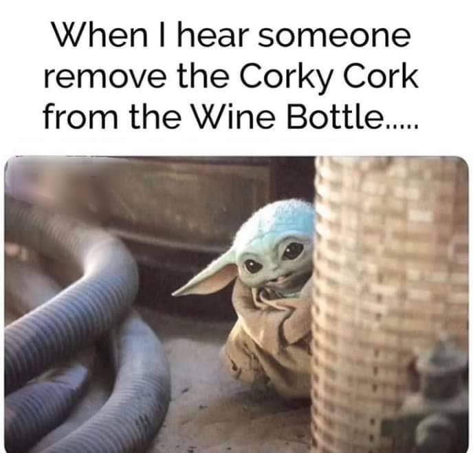 This meme features a picture of a cartoon character, likely from the Star Wars franchise, with a surprised or shocked expression. The text at the top of the image reads: "When you hear someone say 'I'm reading a book on anti-gravity. It's impossible to put down'."
